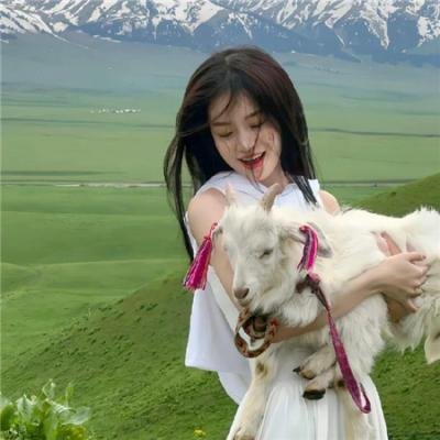 百鸟嬉春